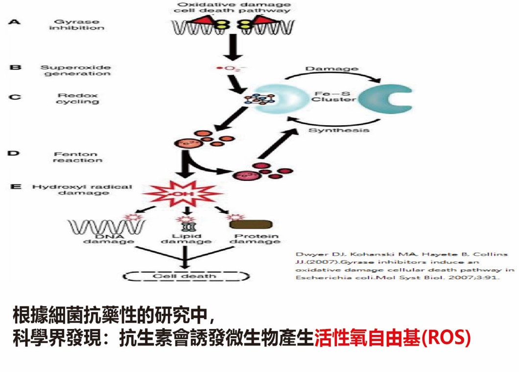 微生物分解的自由基